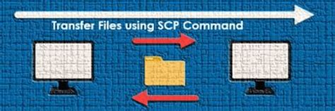 how to copy folder using scp command