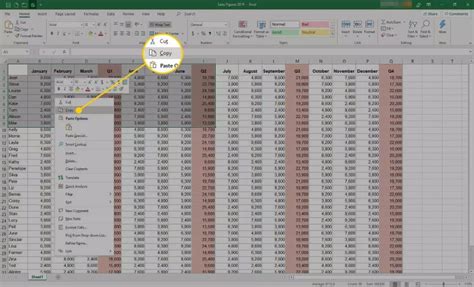 how to copy from excel to word table