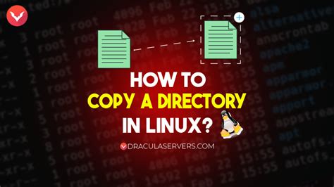 how to copy home directory in linux
