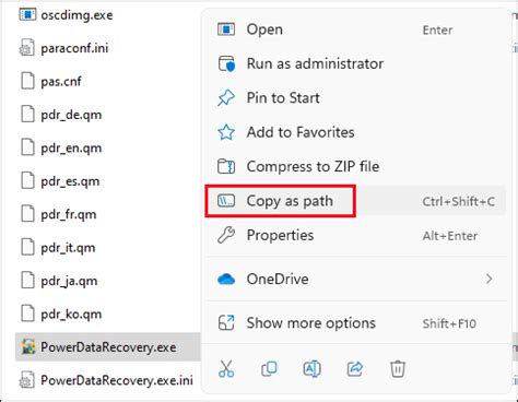 how to copy image path