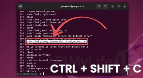 how to copy paste command in ubuntu terminal
