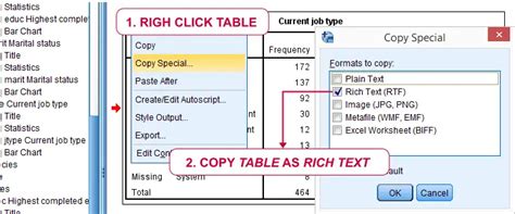 how to copy paste data from excel to spss