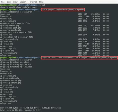 how to copy paste in ssh terminal