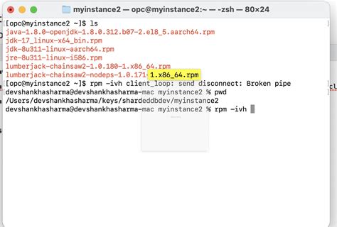 how to copy text from mac terminal