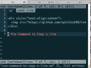 How To Copy The Whole Line In Vim