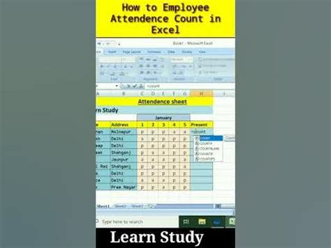 how to count only present and absent in excel