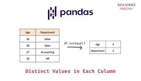 how to count unique values in python pandas