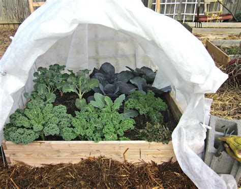 how to cover raised garden beds for winter