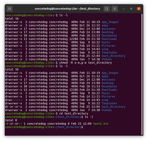 how to create a directory with full permissions in linux