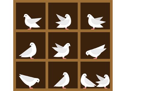 How To Create Pigeonhole