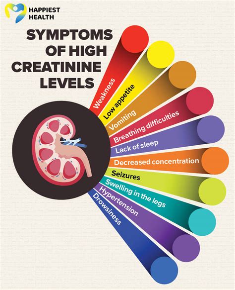 Understanding How to Creatinine: A Guide to Kidney Health