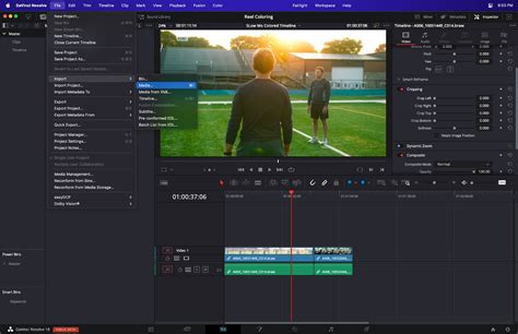 how to crop a video using davinci resolve