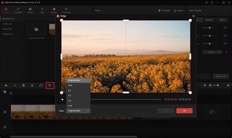 how to crop frame in davinci resolve