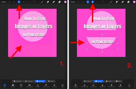 how to crop part of an image in procreate