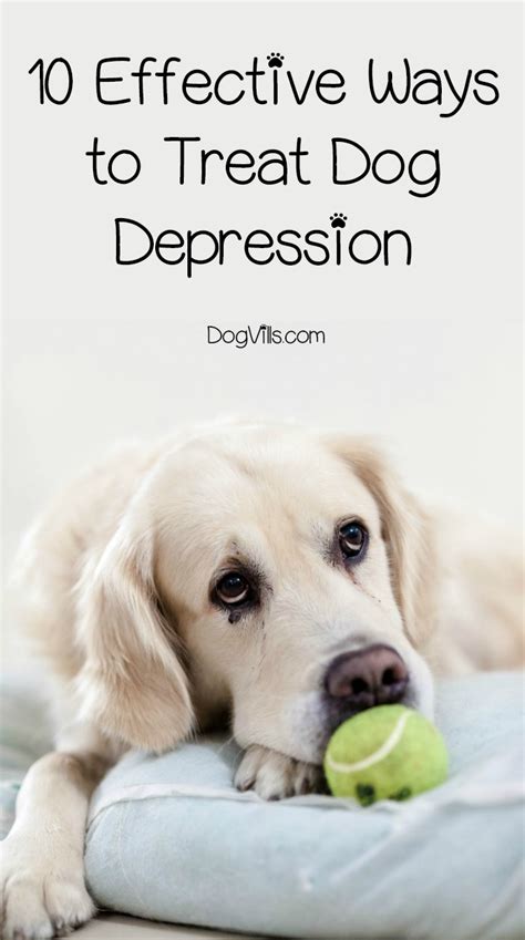 how to cure dog depression