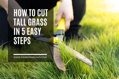 How To Cut A Grass Tree