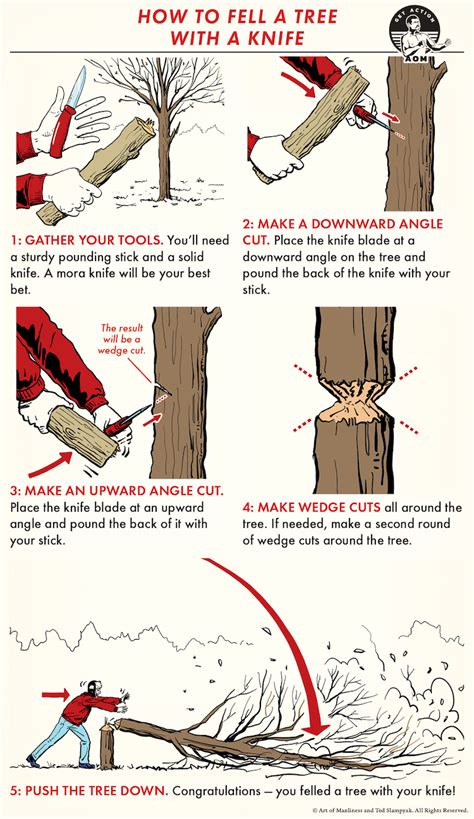 How To Cut A Tree So It Falls In The Right Direction