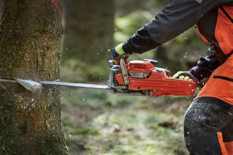How To Cut A Tree Using Chainsaw