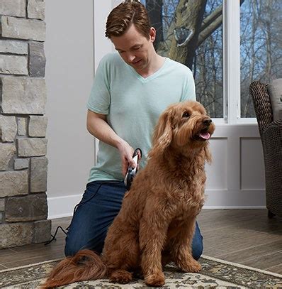 how to cut dog's hair with machine