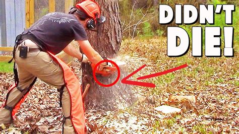 How To Cut Down A Tree Using Wedges