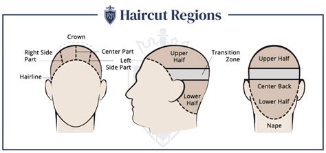 How To Cut Men s Hair On Top Of Head   A Step By Step Guide
