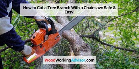 How To Cut Small Branches With A Chainsaw