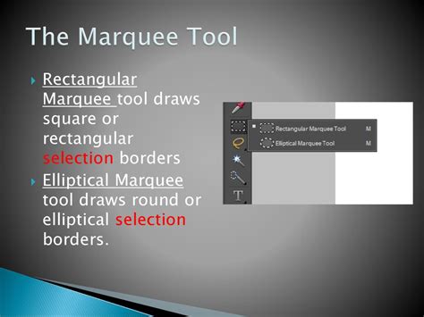 How To Cut Using Marquee Tool