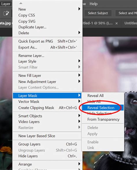 How To Cut Using Quick Selection Tool