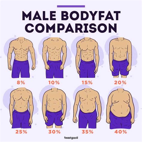 How To Decrease Body Fat Percentage While Gaining Muscle