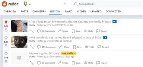 how to delete browsing history on reddit