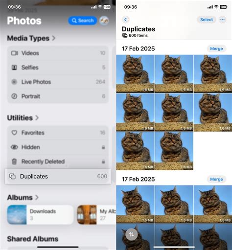 how to delete duplicate photos on ios 18