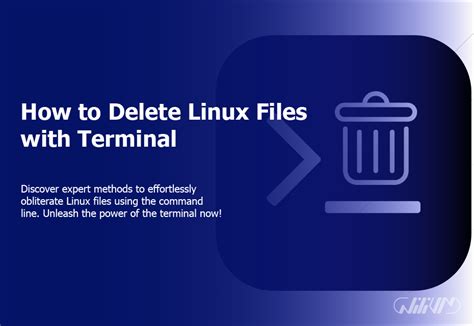 How To Delete Files In Linux Mint Terminal