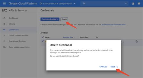 how to delete google api key