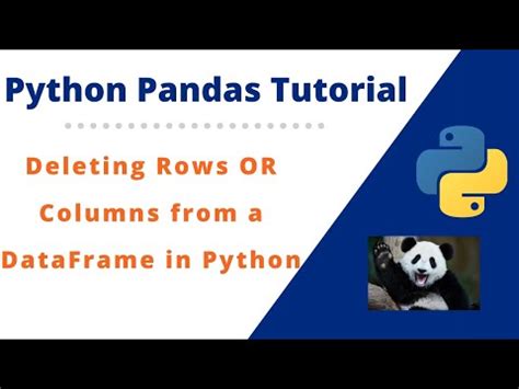 how to delete rows in python pandas