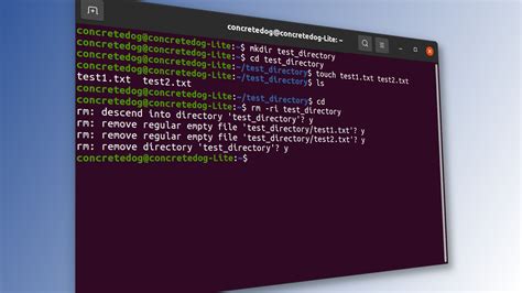 how to delete text in linux terminal