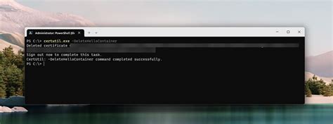 How To Delete Windows Hello Container