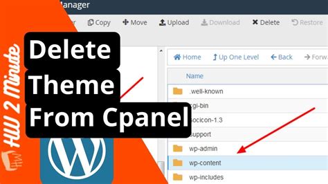 how to delete wordpress theme from cpanel