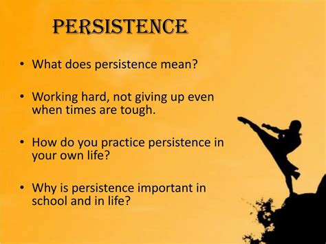 how to describe persistence