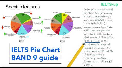 how to describe pie chart