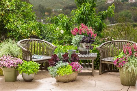 How To Design A Garden Using Pots