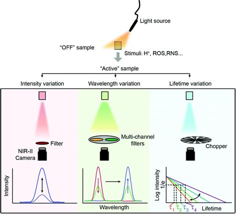 How To Detect Fluorescence