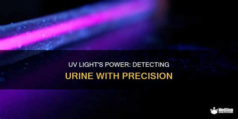 How To Detect Urine With Uv Light