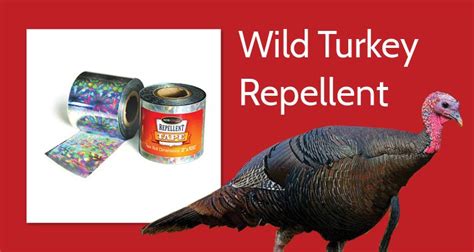 How To Deter Bush Turkeys From Your Garden