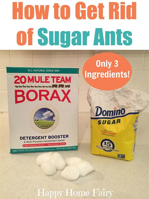 how to deter sugar ants