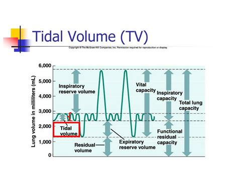 how to determine tidal volume