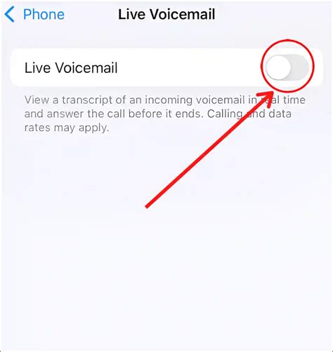 how to disable voicemail notifications on iphone