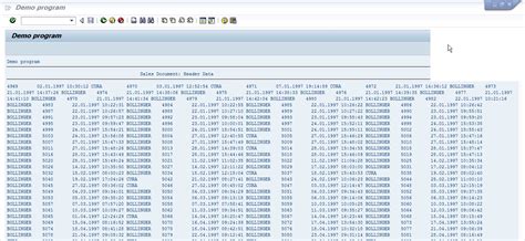 how to display reports in sap