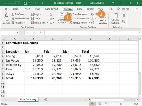 how to display the formulas in excel worksheet