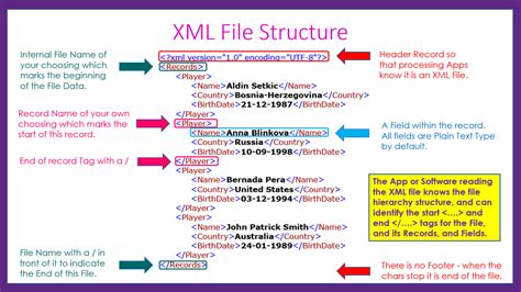 How To Display Xml In