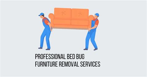 How To Dispose Of A Couch With Bed Bugs